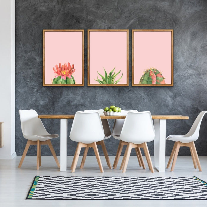 Succulents On Pink - Three Piece Succulent Watercolour Canvas Wall Art Prints, Wall Art, Ozark Home 