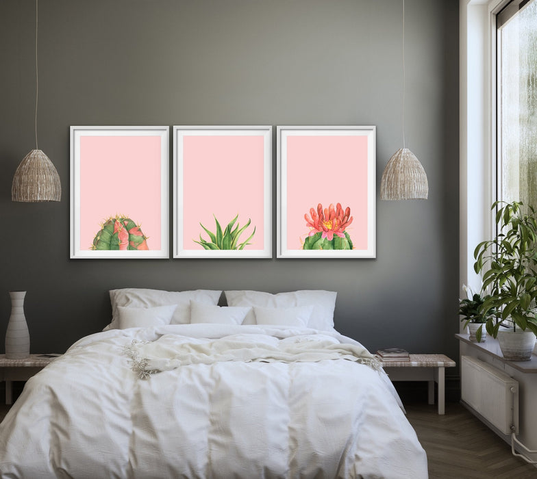 Succulents On Pink - Three Piece Succulent Watercolour Canvas Wall Art Prints, Wall Art, Ozark Home 