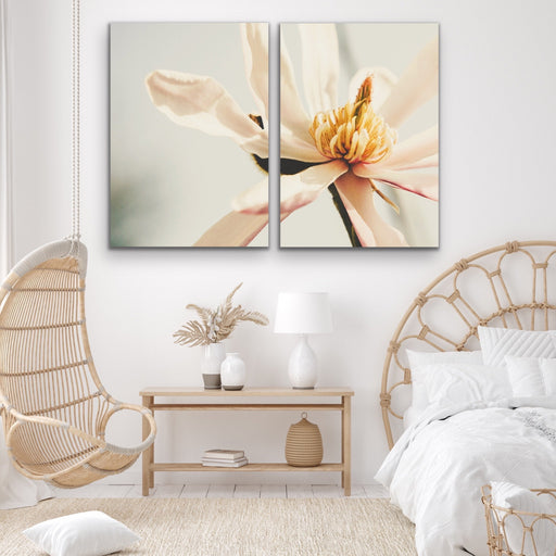 Sweet Magnolia - Two Piece Soft Floral Stretched Canvas Framed Wall Art Oil Painting, Wall Art, Ozark Home 