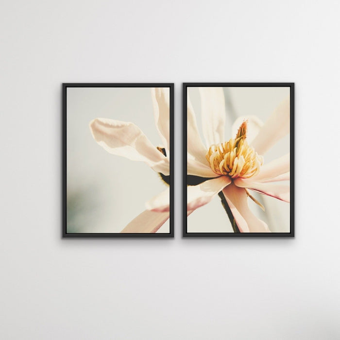 Sweet Magnolia - Two Piece Soft Floral Stretched Canvas Framed Wall Art Oil Painting, Wall Art, Ozark Home 