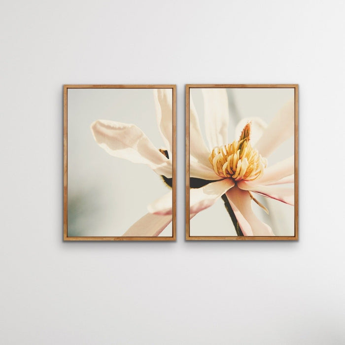 Sweet Magnolia - Two Piece Soft Floral Stretched Canvas Framed Wall Art Oil Painting, Wall Art, Ozark Home 