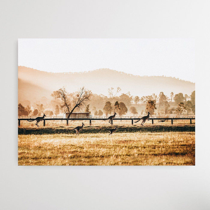 The Home Stretch - Kangaroo Paddock Photographic Art Print, Wall Art, Ozark Home 