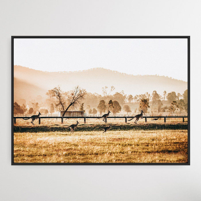 The Home Stretch - Kangaroo Paddock Photographic Art Print, Wall Art, Ozark Home 