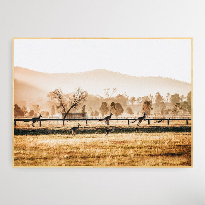 The Home Stretch - Kangaroo Paddock Photographic Art Print, Wall Art, Ozark Home 