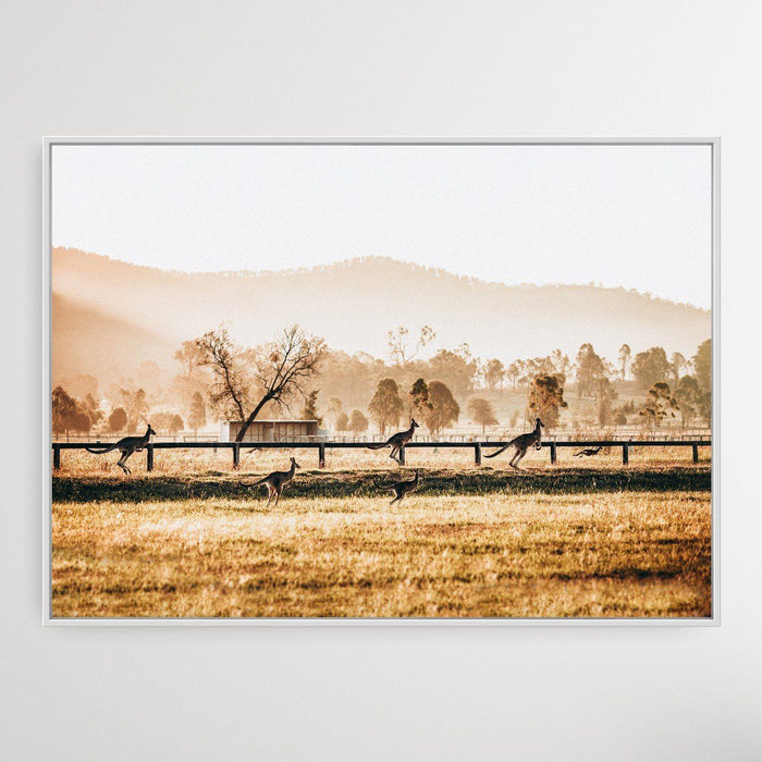 The Home Stretch - Kangaroo Paddock Photographic Art Print, Wall Art, Ozark Home 