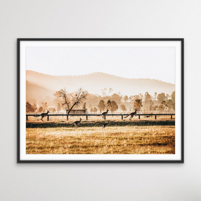 The Home Stretch - Kangaroo Paddock Photographic Art Print, Wall Art, Ozark Home 