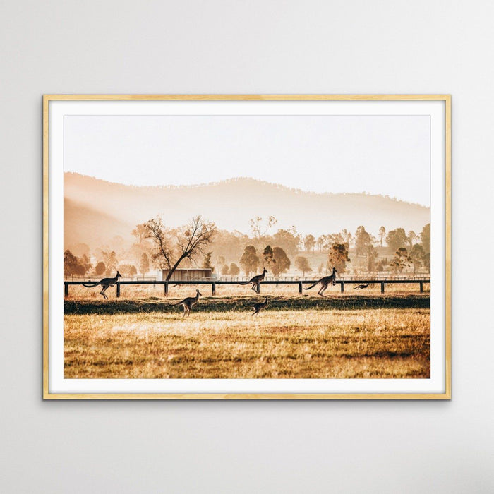 The Home Stretch - Kangaroo Paddock Photographic Art Print, Wall Art, Ozark Home 