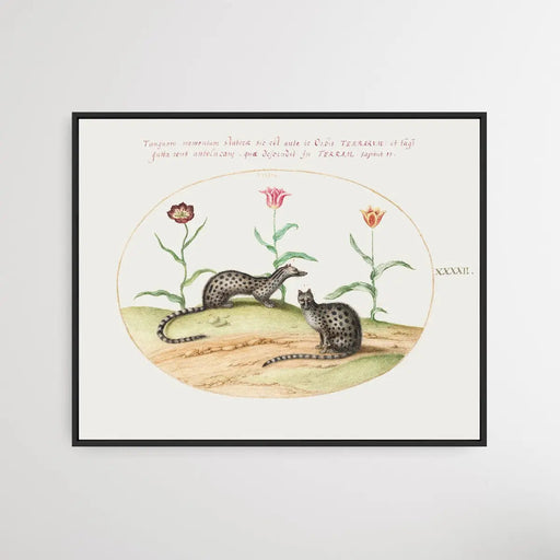 Two Genets with Tulips (1575-1580) by Joris Hoefnagel, Wall Art, Ozark Home 