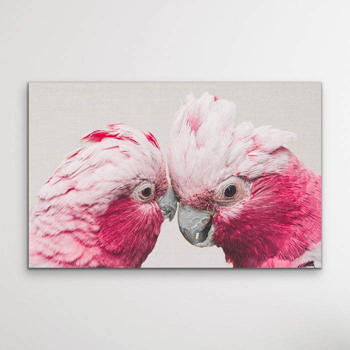 Two Gossiping Galahs - Original Australian Pink Cockatoo Galah Nature Painting Stretched Canvas Wall Art Print