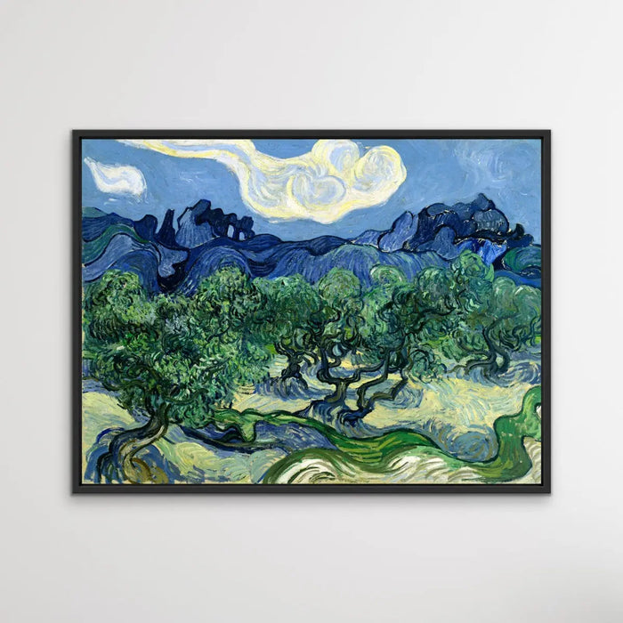 Vincent van Gogh's Olive Trees with the Alpilles in the Background (1889) - Print Of The Artwork