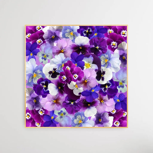 Viola the Violet Flower - Abstract Square Canvas Flower Print, Wall Art, Ozark Home 