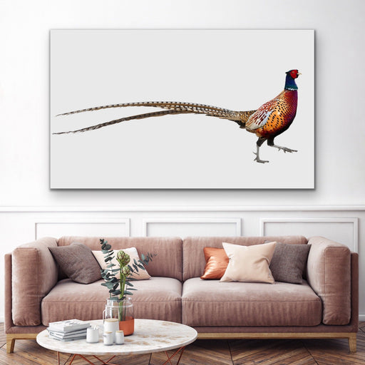 Wandering Pheasant - Framed Canvas Print Wall Art Print, Wall Art, Ozark Home 