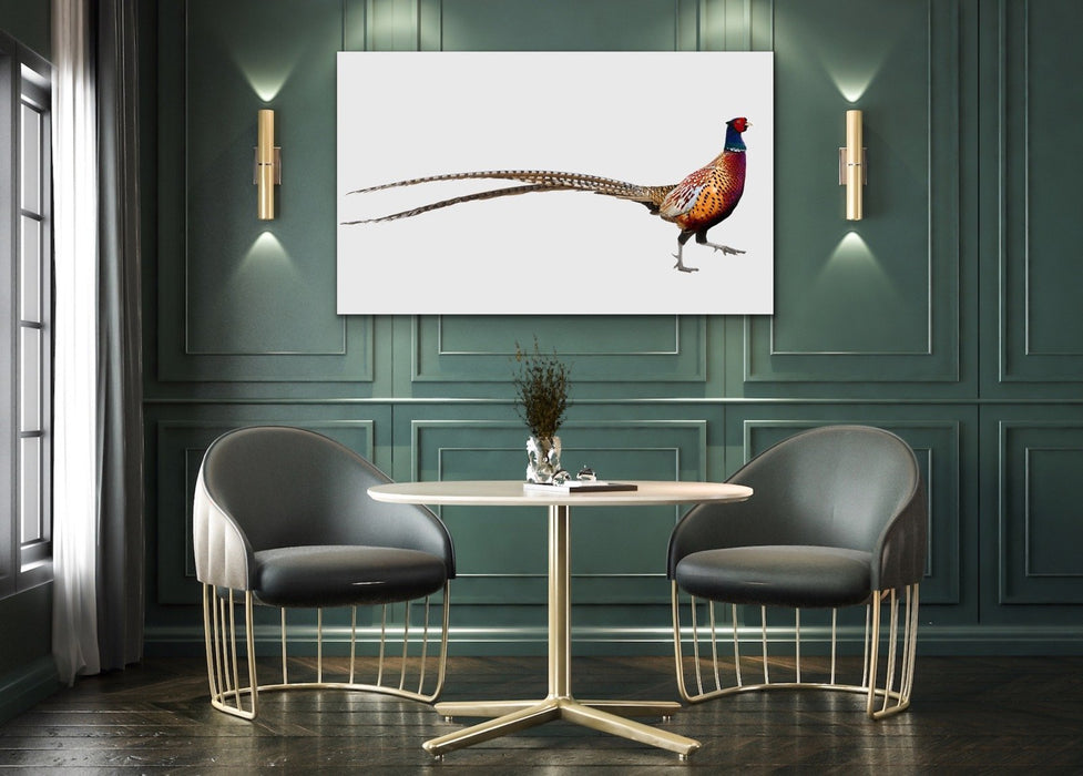 Wandering Pheasant - Framed Canvas Print Wall Art Print, Wall Art, Ozark Home 