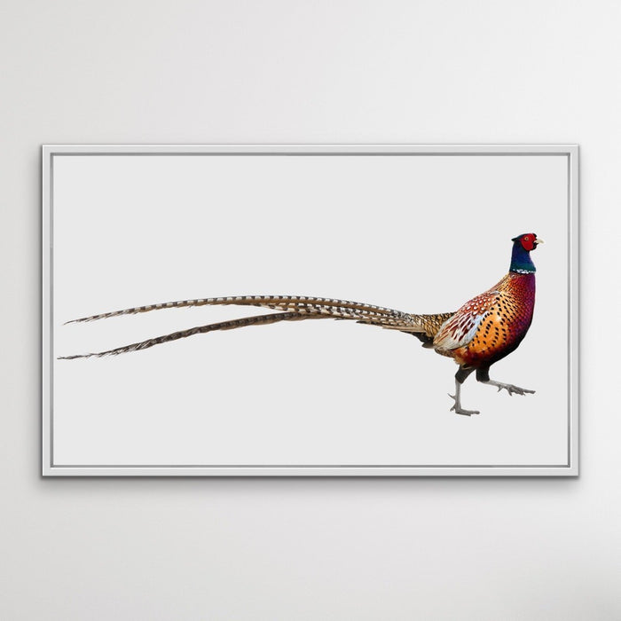 Wandering Pheasant - Framed Canvas Print Wall Art Print, Wall Art, Ozark Home 