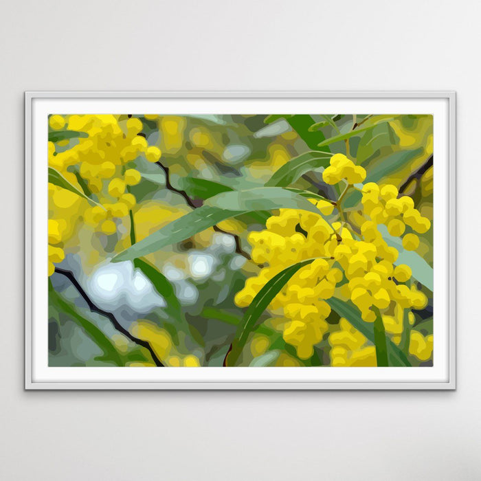 Wattle - Australian Yellow Native Flower Canvas or Art Print