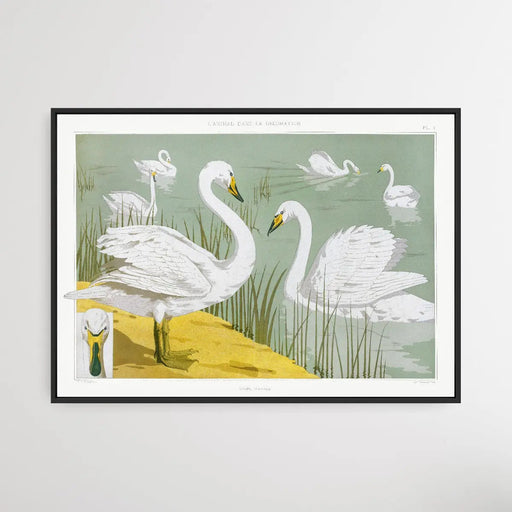 Wild Swan 1897 by Maurice Pillard Verneuil, Wall Art, Ozark Home 