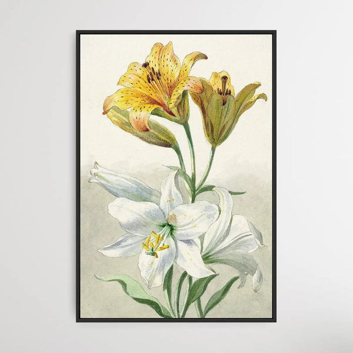 Yellow and White Lilies by William van Leen