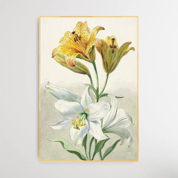 Yellow and White Lilies by William van Leen