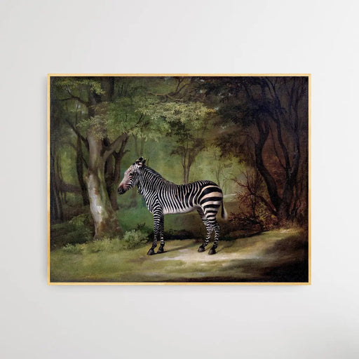 Zebra (1763) by George Stubbs, Wall Art, Ozark Home 