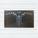 Born to Ride Rubber Doormat, 45x75cm - Ozark Home