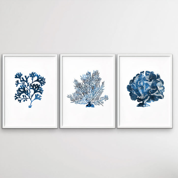 Hamptons Watercolour Blue Set of Three Piece Art Print, Wall Art, Ozark Home 